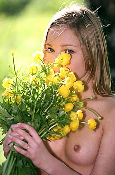 Yellow flowers, #6
